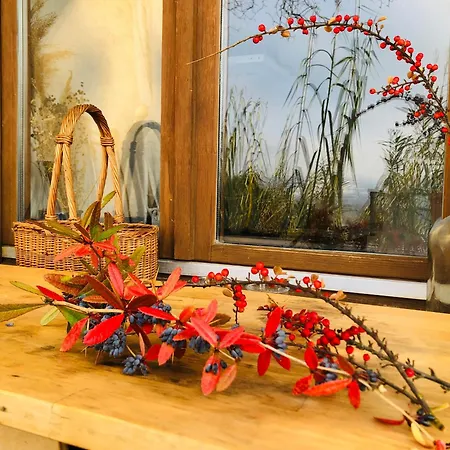 Διαμέρισμα Repuelohal Apartmanhaz Zebegény