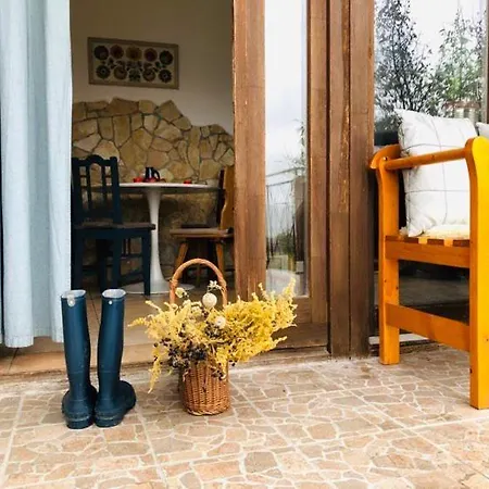 Repuelohal Apartmanhaz *