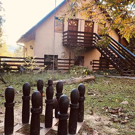 Repülőhal * Zebegény