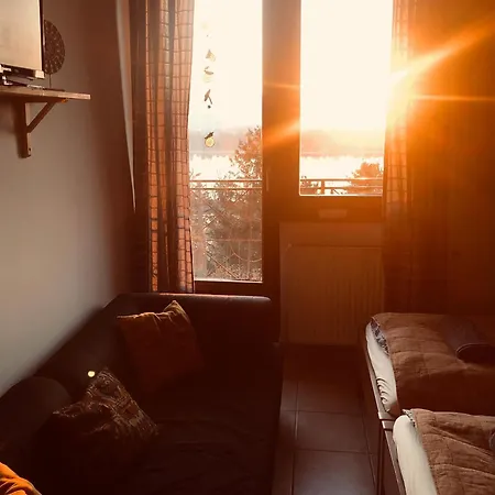 Repülőhal *
