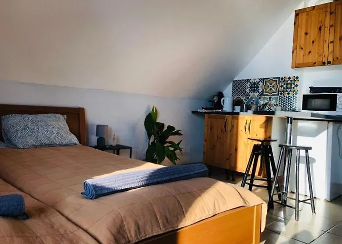Repuelohal Apartmanhaz شقة *